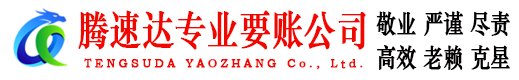 惠东清债公司